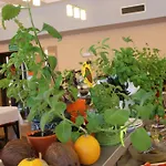 Hotel Seapark Wellness & Kołobrzeg